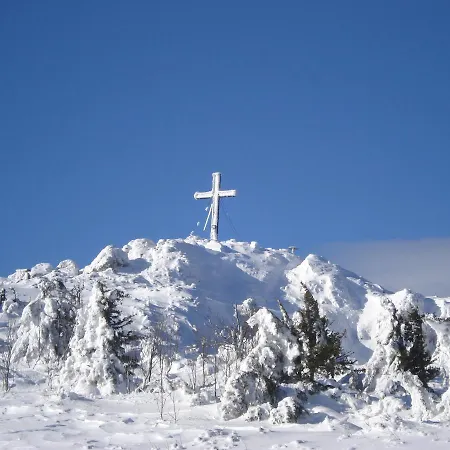 Hofbauer אורחן 3*