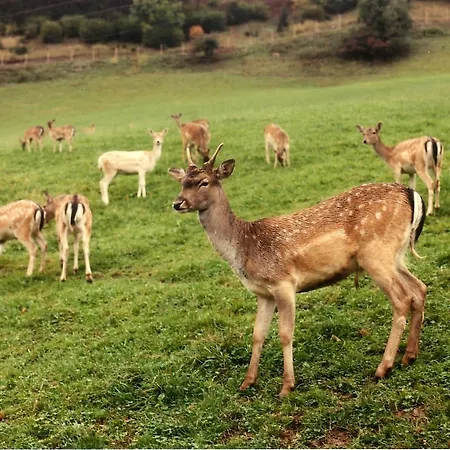 Hofbauer Mini-hôtel